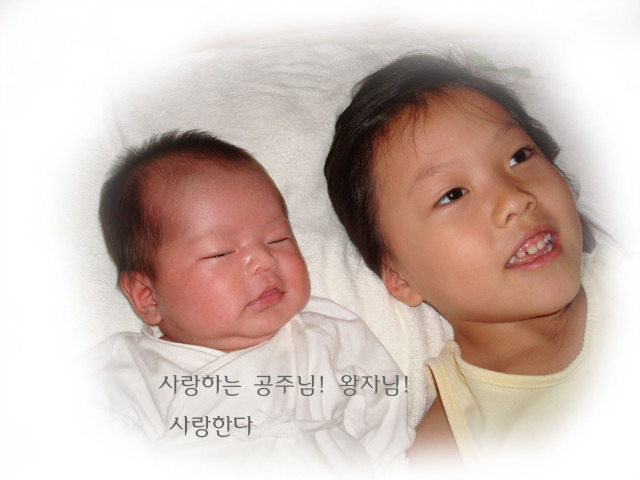 와와 이미지