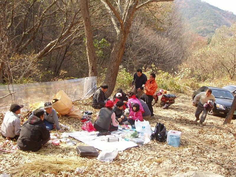 풀꽃농원 이미지