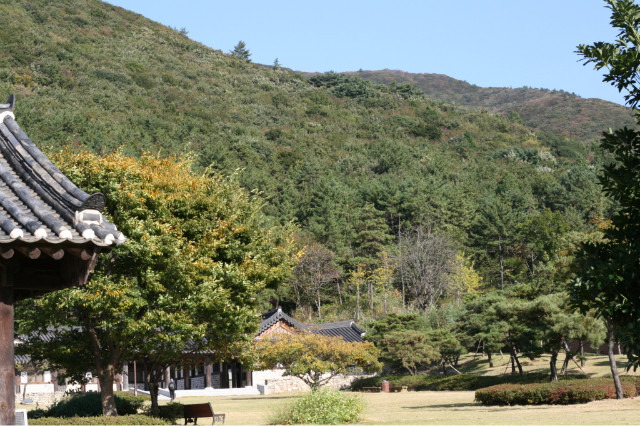 바람쐬다 이미지