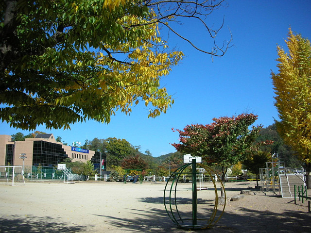 영양초등학교 이미지