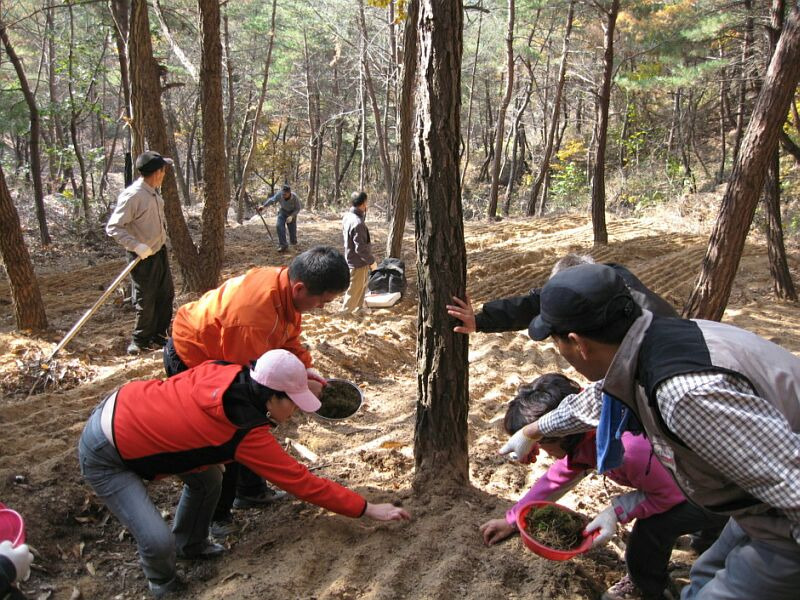 풀꽃농원 이미지