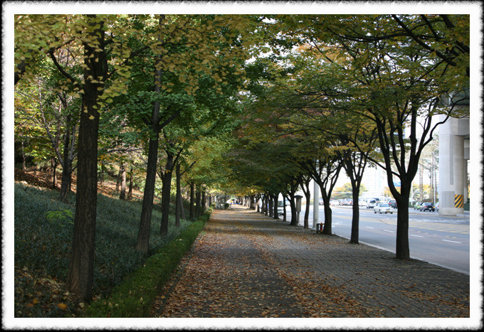탱크원 이미지